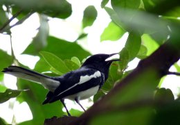 Klick to see High Resolution