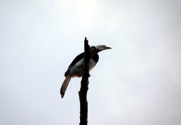 Klick to see High Resolution