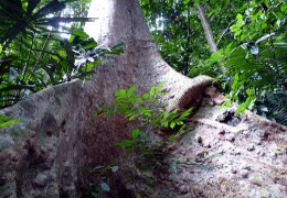 Klick to see High Resolution