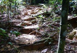 Klick to see High Resolution