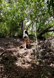 Klick to see High Resolution