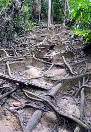 Klick to see High Resolution