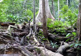 Klick to see High Resolution