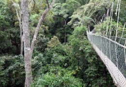 Klick to see High Resolution