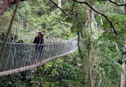 Klick to see High Resolution