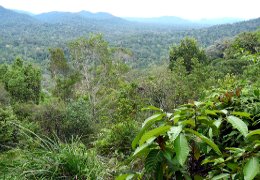 Klick to see High Resolution