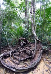 Klick to see High Resolution