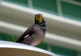 Klick to see High Resolution