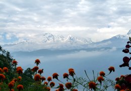 Klick to see High Resolution