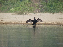 Klick to see High Resolution