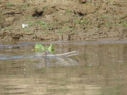 Klick to see High Resolution