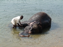 Klick to see High Resolution