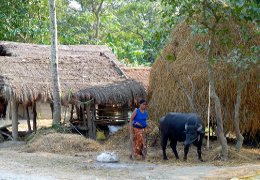 Klick to see High Resolution