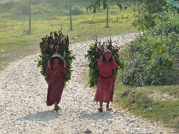 Klick to see High Resolution