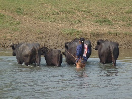 Klick to see High Resolution