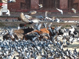 Klick to see High Resolution