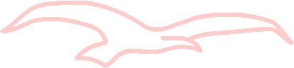 Seagull-Shape