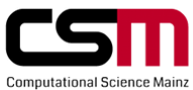 CSM logo